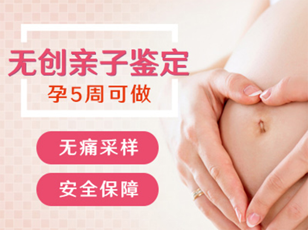 杭州怀孕几个月需要怎么做胎儿DNA鉴定,杭州无创产前亲子鉴定价格收费